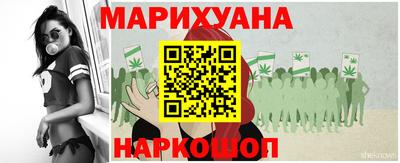 Альфа ПВП Новодвинск