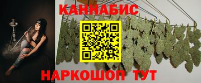 Альфа ПВП Новодвинск