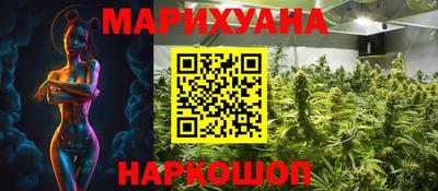 Альфа ПВП Новодвинск
