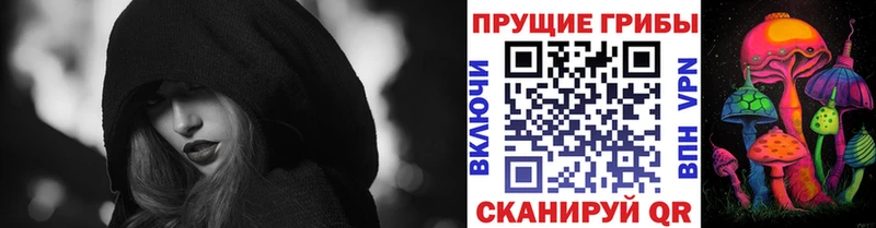 Галлюциногенные грибы MAGIC MUSHROOMS как найти закладки Павловский Посад