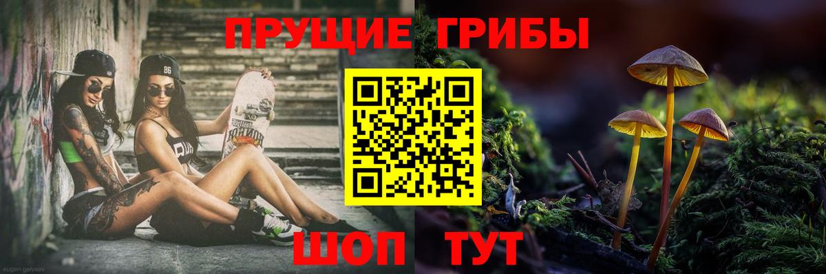 Галлюциногенные грибы Psilocybe  Вход с VPN  Павловский Посад 