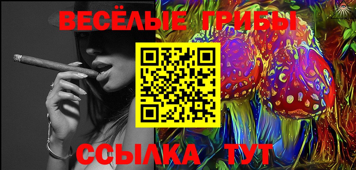 Псилоцибиновые грибы мицелий Павловский Посад